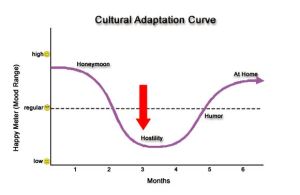 Culture shock graph