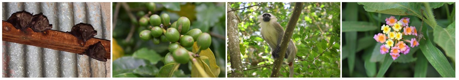 southern 5 huntingdon wildlife